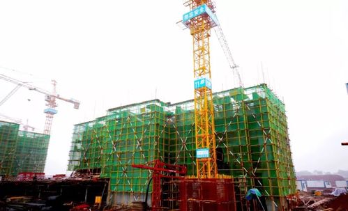 壹號家書丨北風(fēng)促急,江灣工程加速趕進