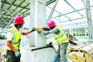 白云農(nóng)創(chuàng)共享農(nóng)副產(chǎn)品批發(fā)中心預(yù)計(jì)年底投用，建筑施工進(jìn)展順利